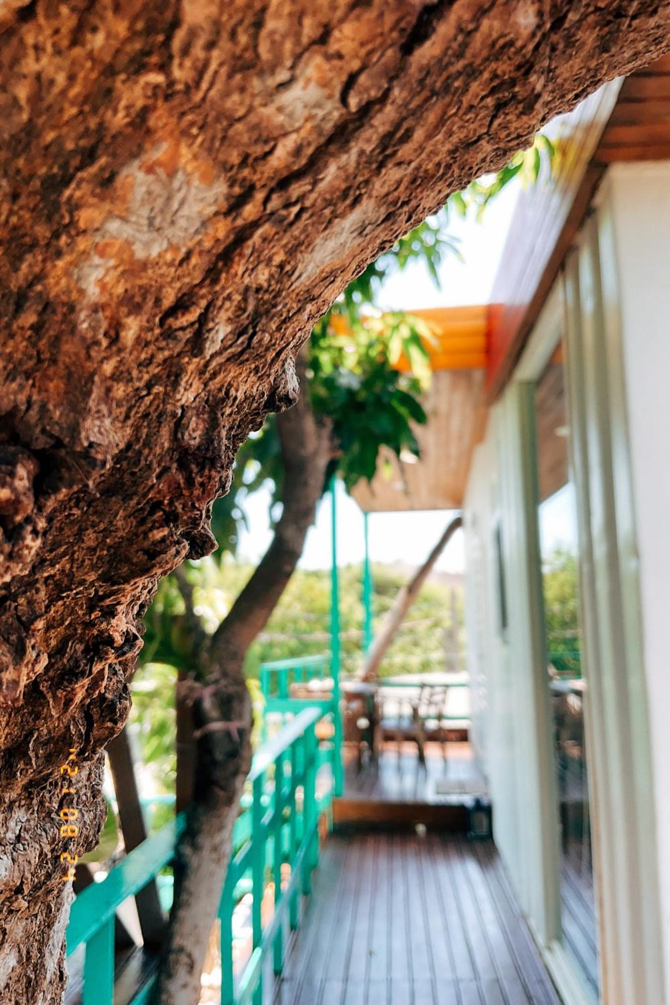 Little Ryukyu Hermit Crab Homestay Xiaoliuqiu Exterior photo